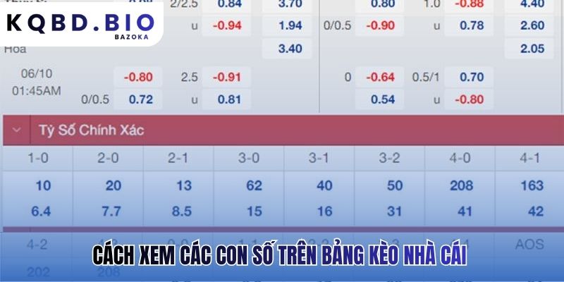 Hiểu ý nghĩa các con số để biết tình hình trận đấu